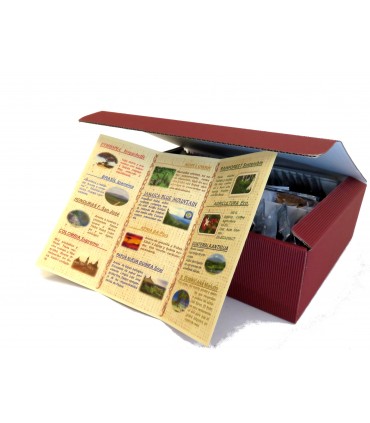 CAJA SURTIDO PERSONAL COFFE 76ud.